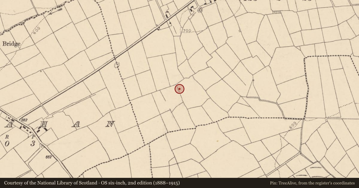 Ordnance Survey six-inch map, 2nd edition (1888–1915) covering the location of Fulacht fia, Shanbally, County Cork, with a pin at the register's coordinates