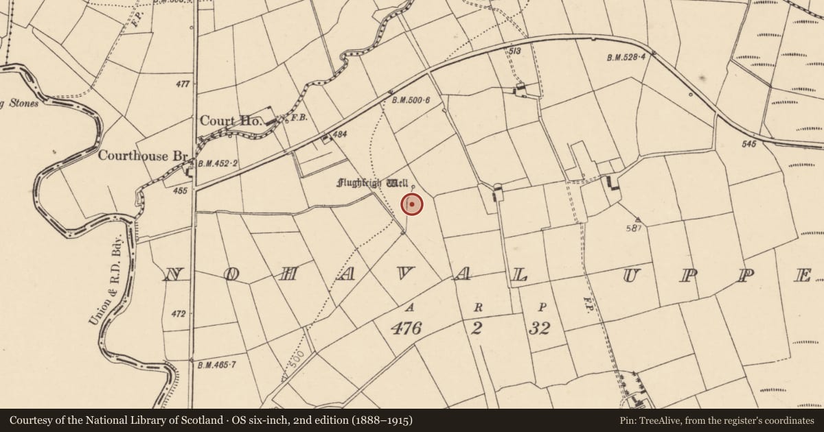 Ordnance Survey six-inch map, 2nd edition (1888–1915) covering the location of Burial ground, Nohaval Upper, County Cork, with a pin at the register's coordinates