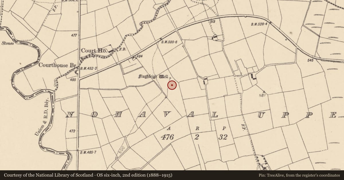 Ordnance Survey six-inch map, 2nd edition (1888–1915) covering the location of Church, Nohaval Upper, County Cork, with a pin at the register's coordinates