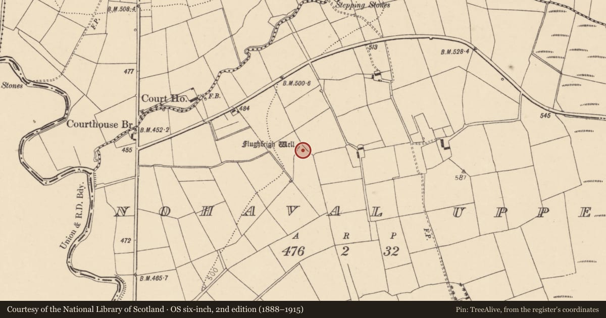 Ordnance Survey six-inch map, 2nd edition (1888–1915) covering the location of Ritual site - holy well, Nohaval Upper, County Cork, with a pin at the register's coordinates