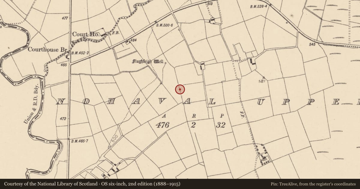 Ordnance Survey six-inch map, 2nd edition (1888–1915) covering the location of Fulacht fia, Nohaval Upper, County Cork, with a pin at the register's coordinates