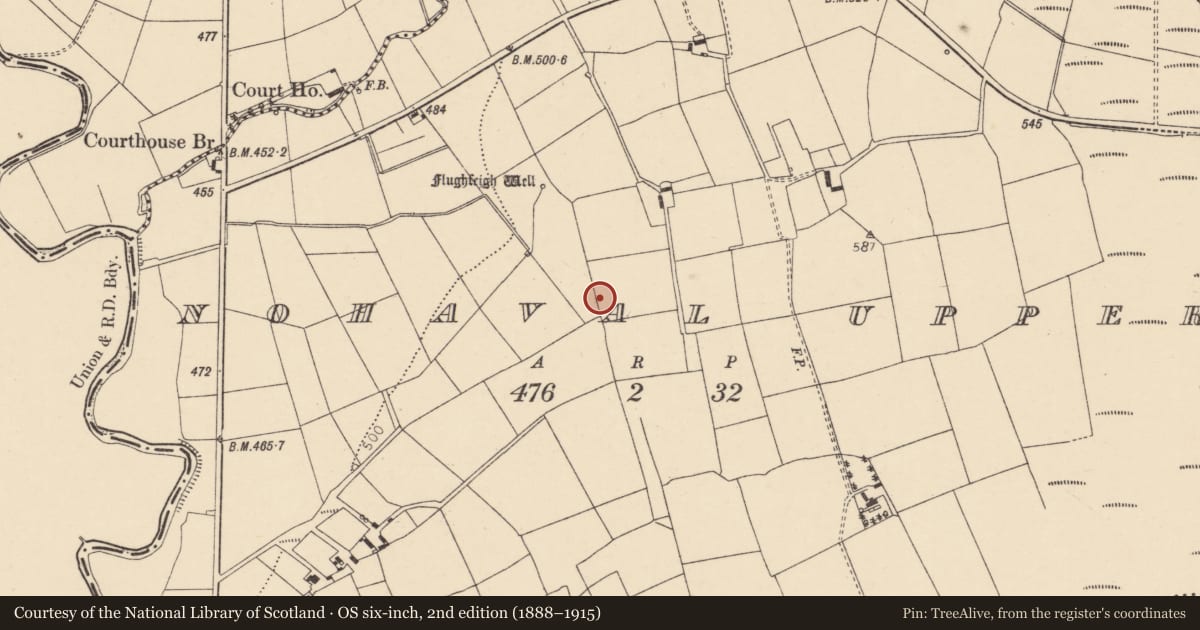 Ordnance Survey six-inch map, 2nd edition (1888–1915) covering the location of Standing stone, Nohaval Upper, County Cork, with a pin at the register's coordinates