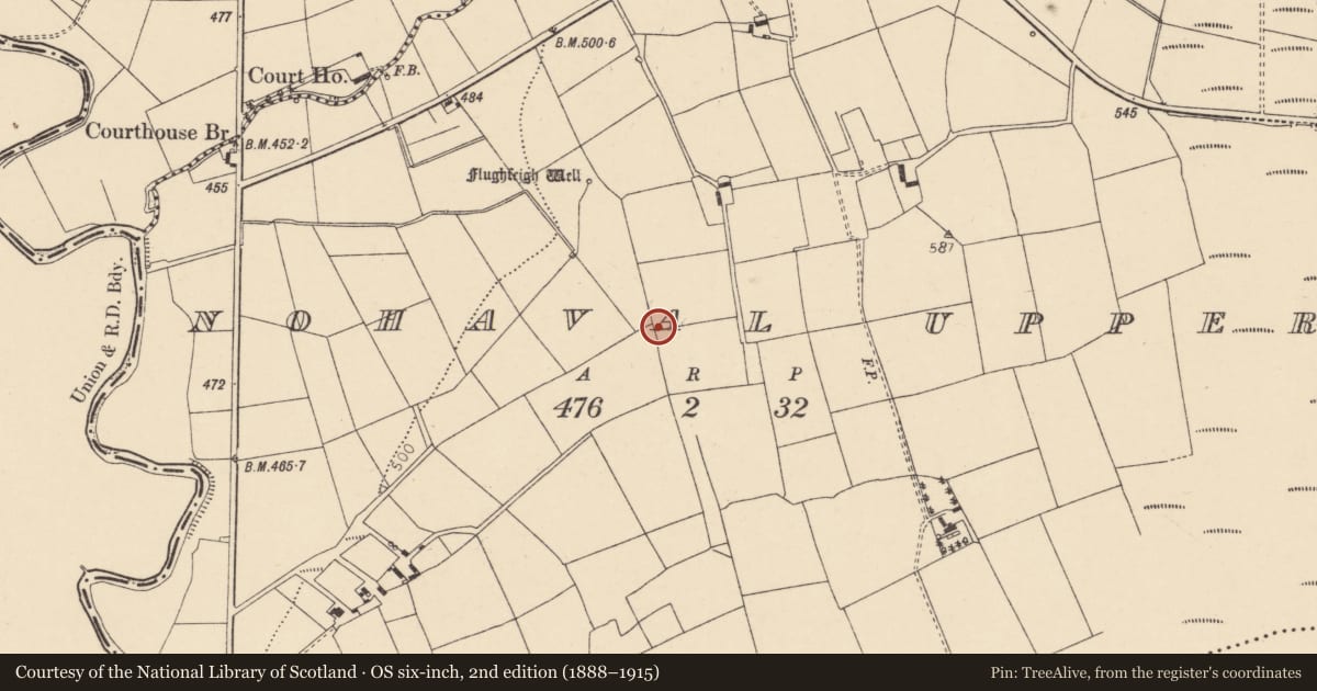 Ordnance Survey six-inch map, 2nd edition (1888–1915) covering the location of Standing stone, Nohaval Upper, County Cork, with a pin at the register's coordinates
