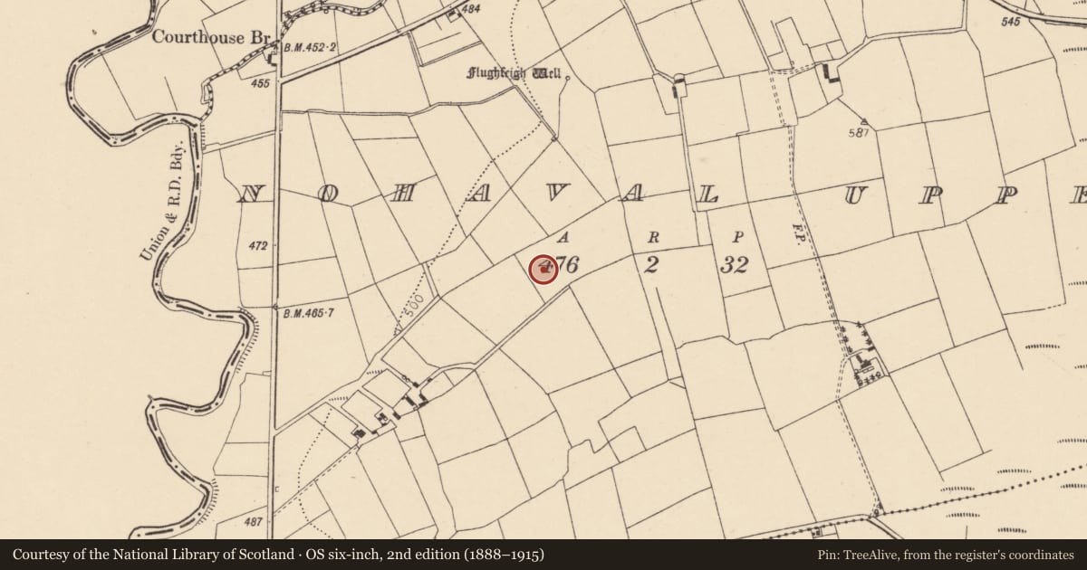 Ordnance Survey six-inch map, 2nd edition (1888–1915) covering the location of Standing stone, Nohaval Upper, County Cork, with a pin at the register's coordinates