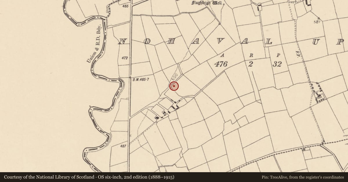 Ordnance Survey six-inch map, 2nd edition (1888–1915) covering the location of Fulacht fia, Nohaval Upper, County Cork, with a pin at the register's coordinates