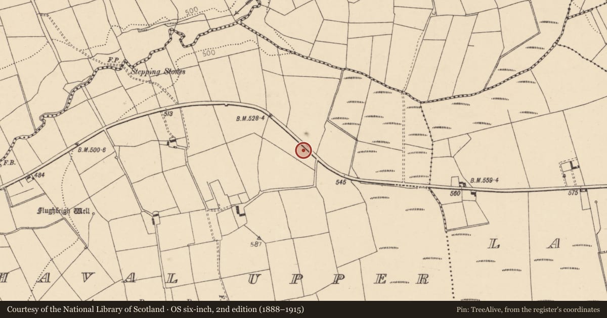 Ordnance Survey six-inch map, 2nd edition (1888–1915) covering the location of Fulacht fia, Nohaval Upper, County Cork, with a pin at the register's coordinates