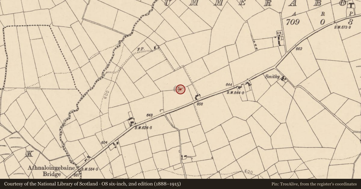 Ordnance Survey six-inch map, 2nd edition (1888–1915) covering the location of Barrow - ring-barrow, Ummeraboy West, County Cork, with a pin at the register's coordinates