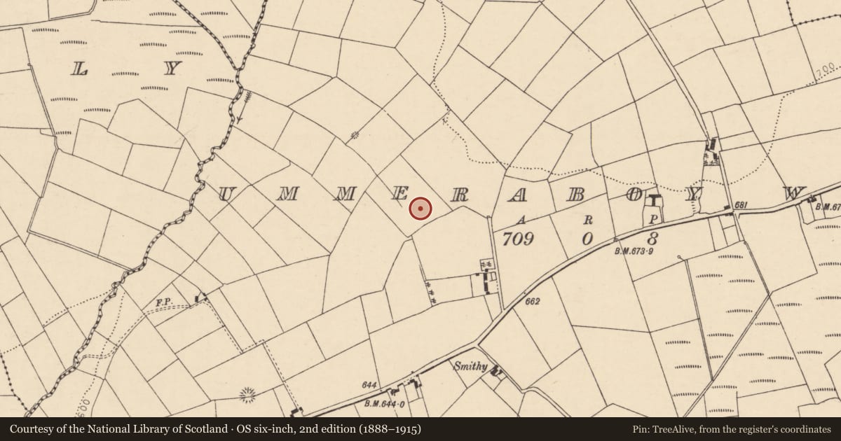 Ordnance Survey six-inch map, 2nd edition (1888–1915) covering the location of Stone row, Ummeraboy West, County Cork, with a pin at the register's coordinates