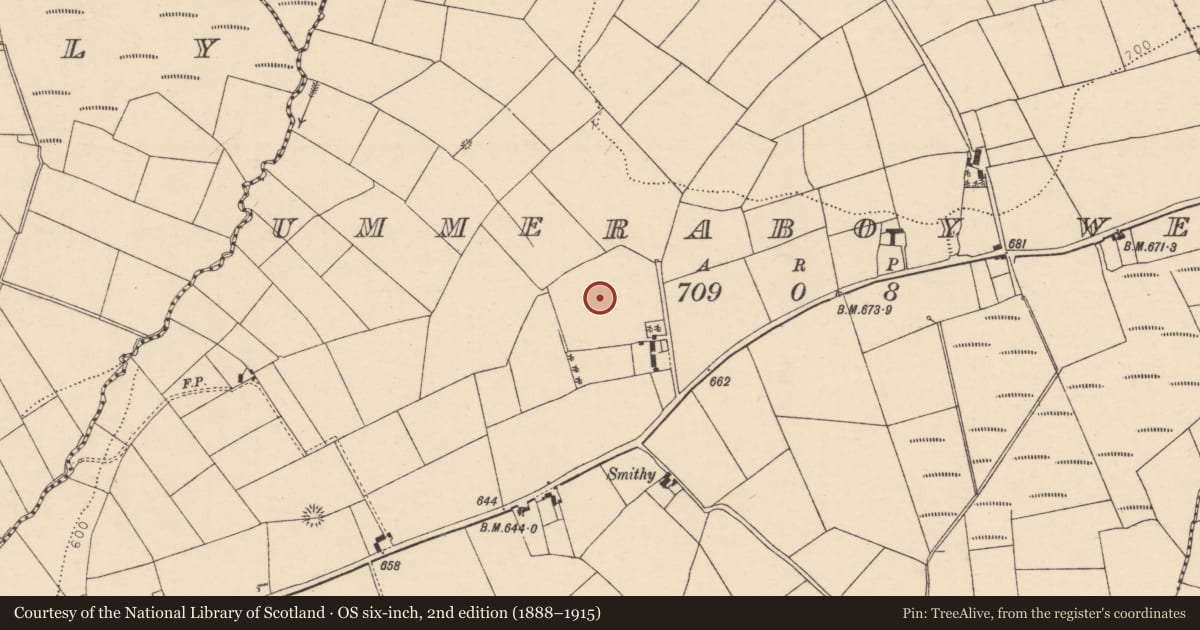 Ordnance Survey six-inch map, 2nd edition (1888–1915) covering the location of Standing stone, Ummeraboy West, County Cork, with a pin at the register's coordinates