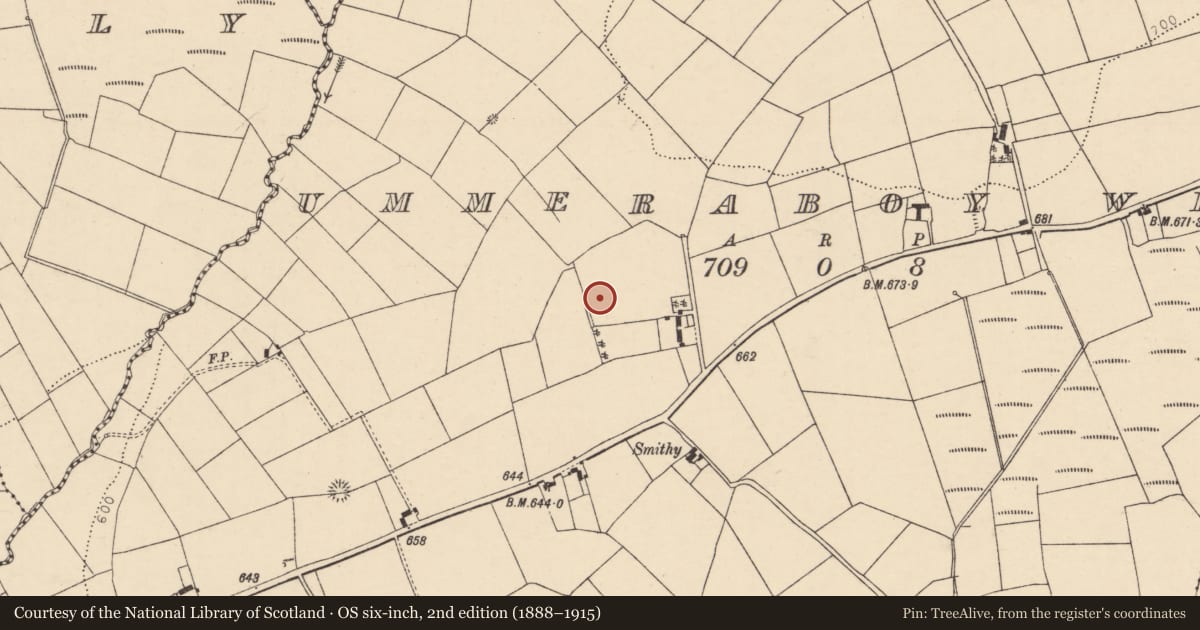 Ordnance Survey six-inch map, 2nd edition (1888–1915) covering the location of Cupmarked stone (present location), Ummeraboy West, County Cork, with a pin at the register's coordinates