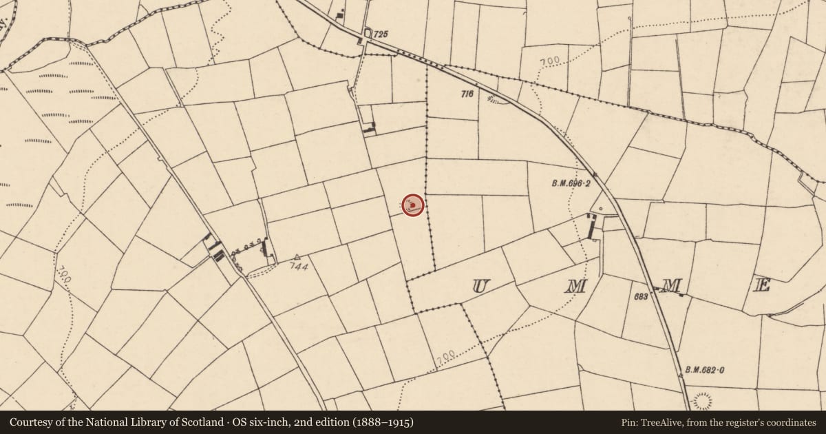 Ordnance Survey six-inch map, 2nd edition (1888–1915) covering the location of Barrow - ring-barrow, Ummeraboy West, County Cork, with a pin at the register's coordinates