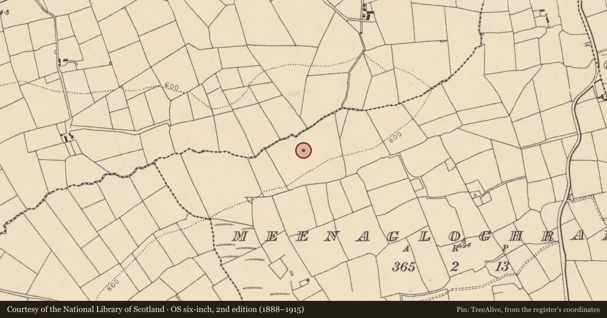 Ordnance Survey six-inch map, 2nd edition (1888–1915) covering the location of Enclosure, Meenagloghrane, County Cork, with a pin at the register's coordinates