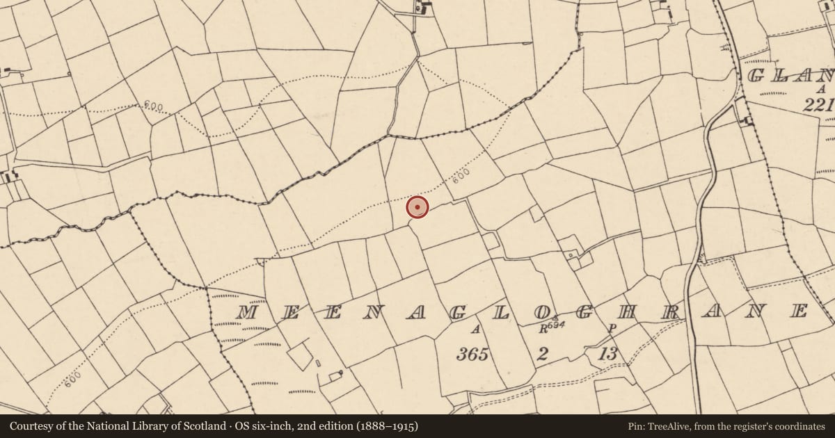 Ordnance Survey six-inch map, 2nd edition (1888–1915) covering the location of Fulacht fia, Meenagloghrane, County Cork, with a pin at the register's coordinates
