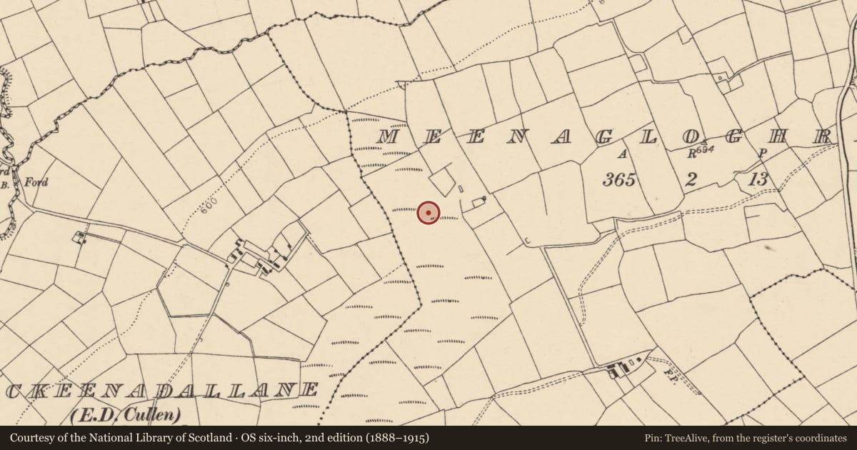 Ordnance Survey six-inch map, 2nd edition (1888–1915) covering the location of Fulacht fia, Meenagloghrane, County Cork, with a pin at the register's coordinates
