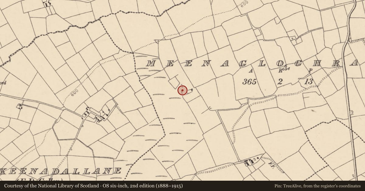 Ordnance Survey six-inch map, 2nd edition (1888–1915) covering the location of Fulacht fia, Meenagloghrane, County Cork, with a pin at the register's coordinates