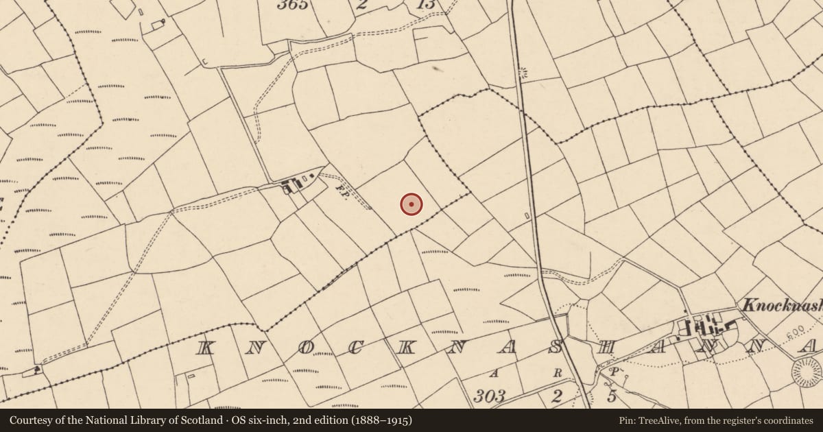 Ordnance Survey six-inch map, 2nd edition (1888–1915) covering the location of Fulacht fia, Meenagloghrane, County Cork, with a pin at the register's coordinates