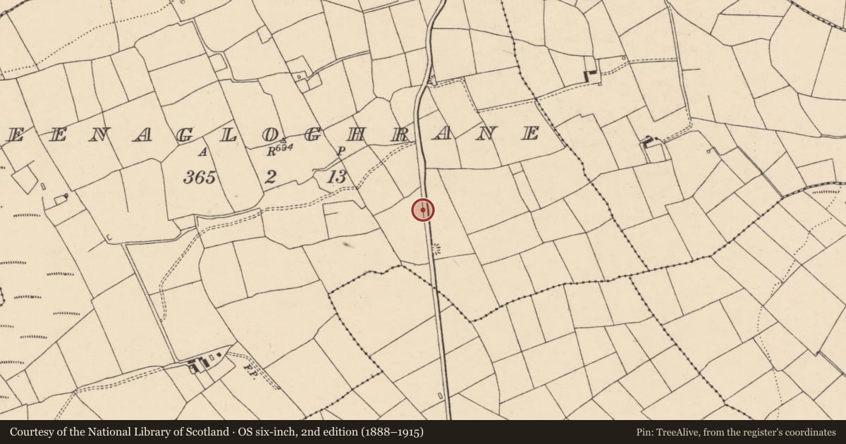 Ordnance Survey six-inch map, 2nd edition (1888–1915) covering the location of Fulacht fia, Meenagloghrane, County Cork, with a pin at the register's coordinates