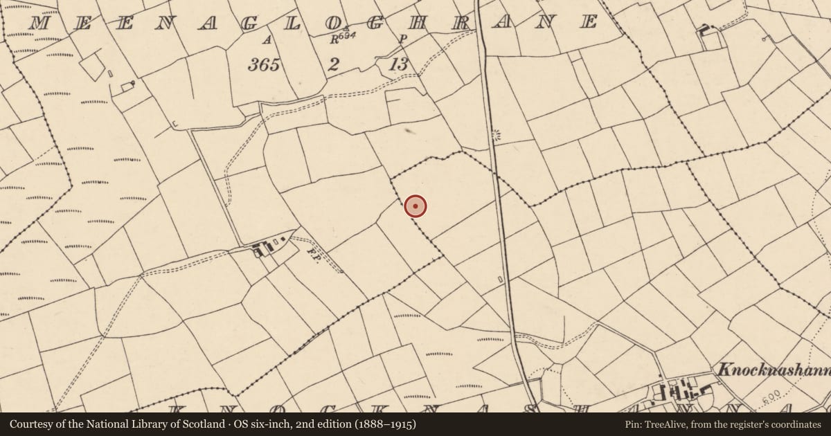 Ordnance Survey six-inch map, 2nd edition (1888–1915) covering the location of Fulacht fia, Knocknashannagh, County Cork, with a pin at the register's coordinates