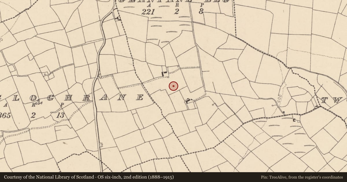 Ordnance Survey six-inch map, 2nd edition (1888–1915) covering the location of Fulacht fia, Glantane Beg, County Cork, with a pin at the register's coordinates