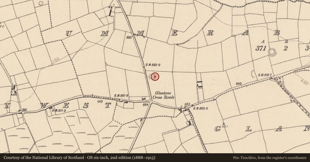 Ordnance Survey six-inch map, 2nd edition (1888–1915) covering the location of Ringfort - rath, Ummeraboy East, County Cork, with a pin at the register's coordinates