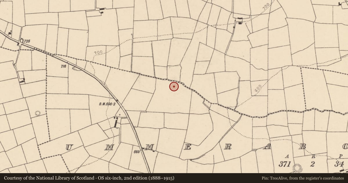 Ordnance Survey six-inch map, 2nd edition (1888–1915) covering the location of Fulacht fia, Ummeraboy East, County Cork, with a pin at the register's coordinates