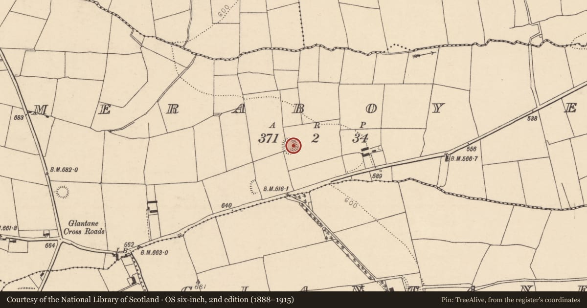 Ordnance Survey six-inch map, 2nd edition (1888–1915) covering the location of Ringfort - rath, Ummeraboy East, County Cork, with a pin at the register's coordinates