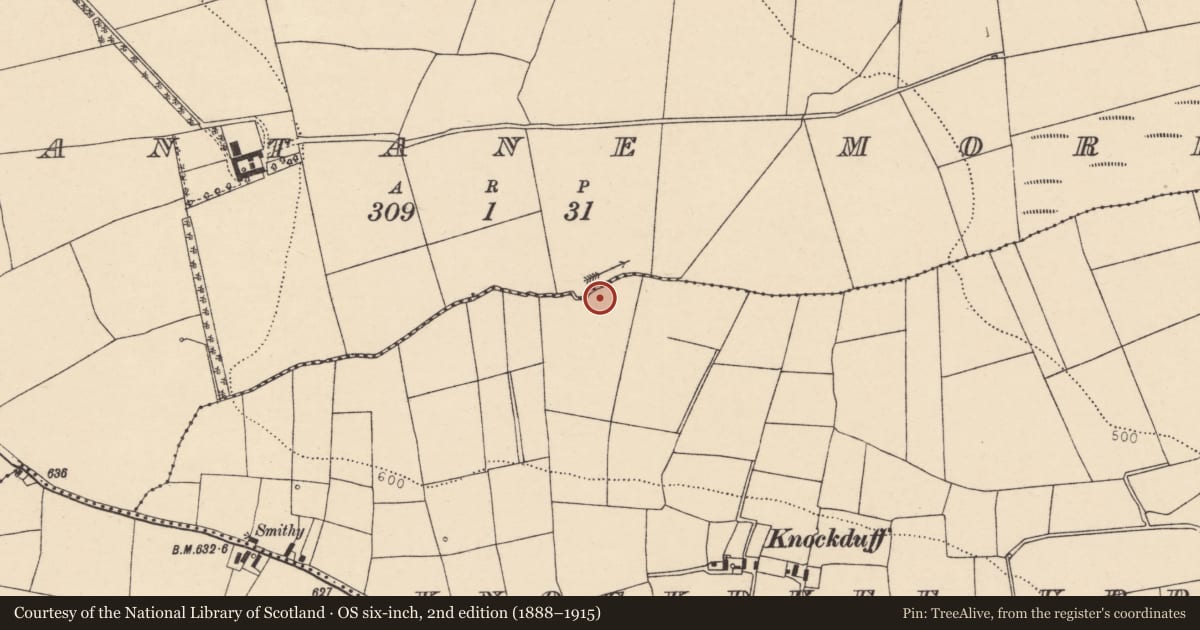 Ordnance Survey six-inch map, 2nd edition (1888–1915) covering the location of Fulacht fia, Knockduff Upper (Duhallow By., Cullen Par.), County Cork, with a pin at the register's coordinates