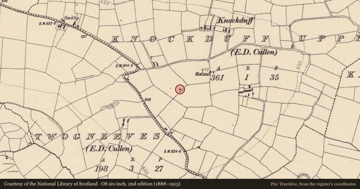 Ordnance Survey six-inch map, 2nd edition (1888–1915) covering the location of Quarry, Knockduff Upper (Duhallow By., Cullen Par.), County Cork, with a pin at the register's coordinates