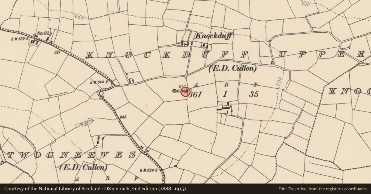 Ordnance Survey six-inch map, 2nd edition (1888–1915) covering the location of Standing stone, Knockduff Upper (Duhallow By., Cullen Par.), County Cork, with a pin at the register's coordinates