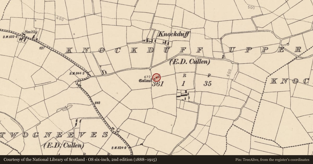 Ordnance Survey six-inch map, 2nd edition (1888–1915) covering the location of Standing stone, Knockduff Upper (Duhallow By., Cullen Par.), County Cork, with a pin at the register's coordinates