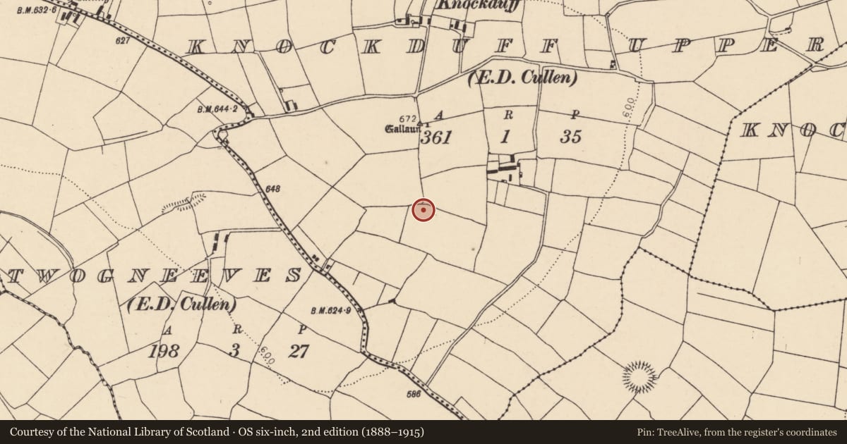 Ordnance Survey six-inch map, 2nd edition (1888–1915) covering the location of Standing stone, Knockduff Upper (Duhallow By., Cullen Par.), County Cork, with a pin at the register's coordinates