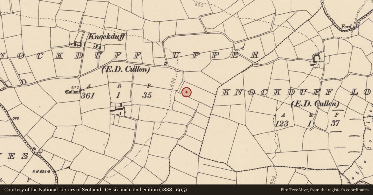Ordnance Survey six-inch map, 2nd edition (1888–1915) covering the location of Fulacht fia, Knockduff Upper (Duhallow By., Cullen Par.), County Cork, with a pin at the register's coordinates