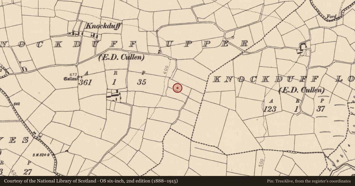 Ordnance Survey six-inch map, 2nd edition (1888–1915) covering the location of Fulacht fia, Knockduff Upper (Duhallow By., Cullen Par.), County Cork, with a pin at the register's coordinates