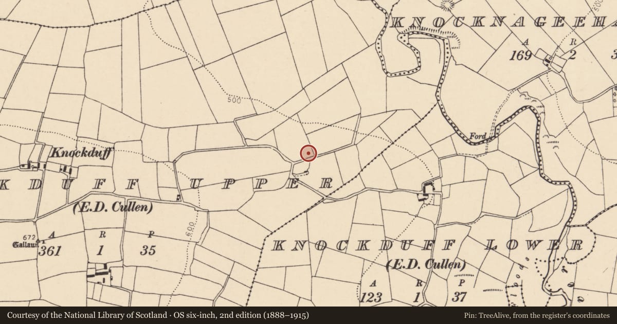 Ordnance Survey six-inch map, 2nd edition (1888–1915) covering the location of Fulacht fia, Knockduff Upper (Duhallow By., Cullen Par.), County Cork, with a pin at the register's coordinates