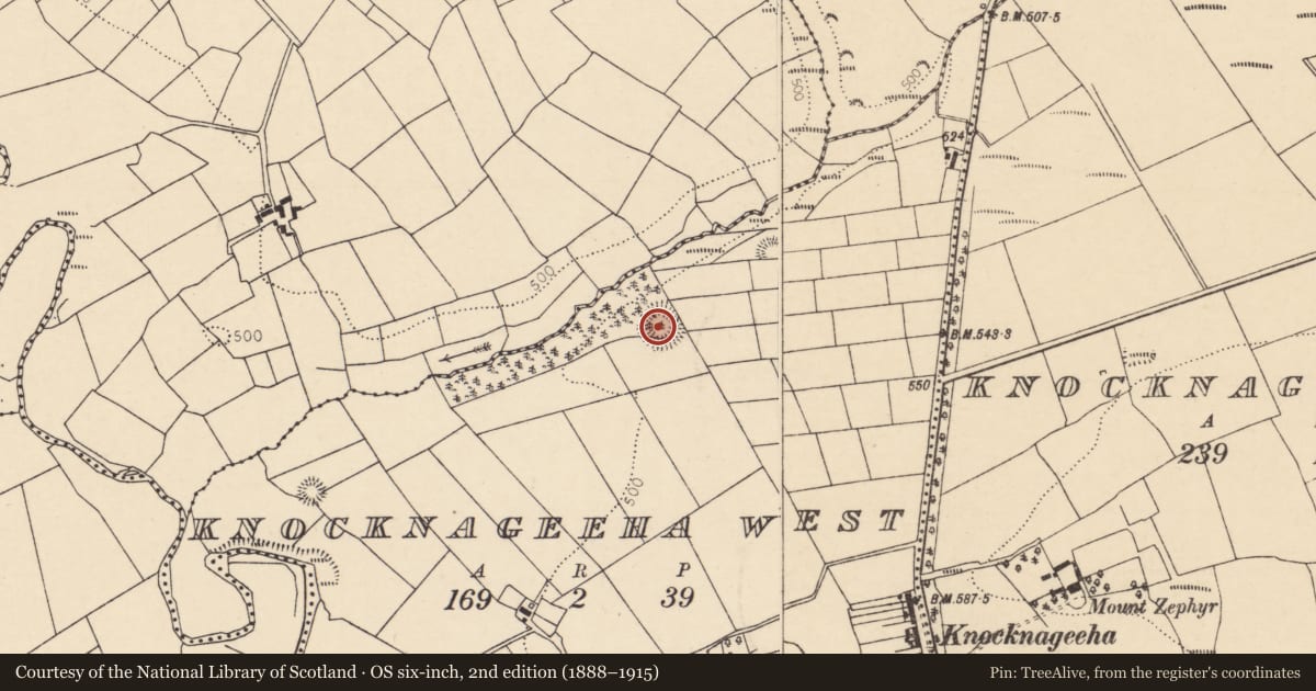 Ordnance Survey six-inch map, 2nd edition (1888–1915) covering the location of Ringfort - rath, Knocknageeha West, County Cork, with a pin at the register's coordinates