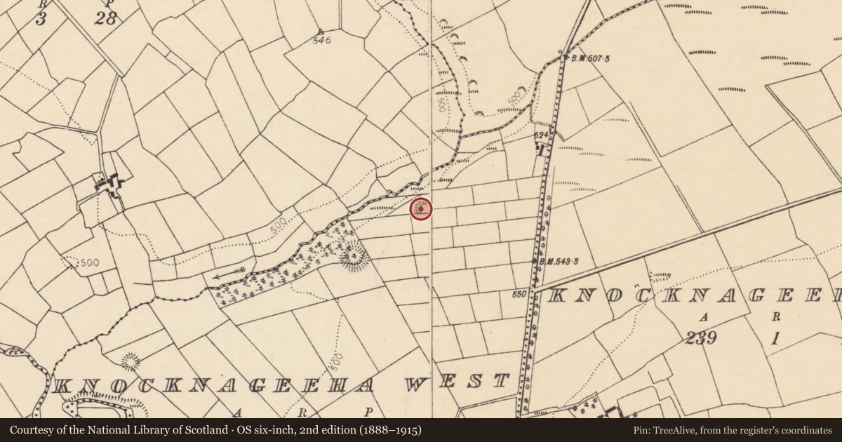 Ordnance Survey six-inch map, 2nd edition (1888–1915) covering the location of Ringfort - rath, Knocknageeha West, County Cork, with a pin at the register's coordinates