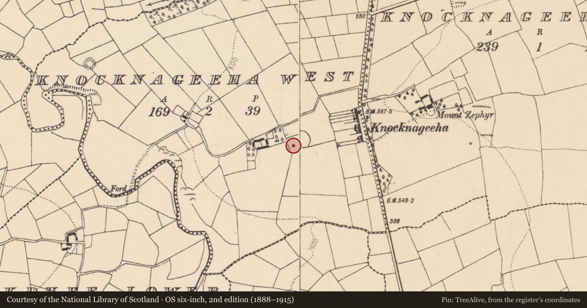 Ordnance Survey six-inch map, 2nd edition (1888–1915) covering the location of Ringfort - rath, Knocknageeha West, County Cork, with a pin at the register's coordinates