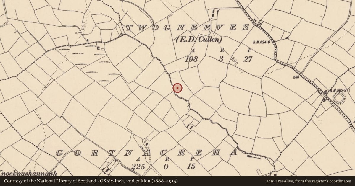 Ordnance Survey six-inch map, 2nd edition (1888–1915) covering the location of Fulacht fia, Two Gneeves, County Cork, with a pin at the register's coordinates
