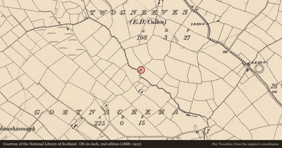 Ordnance Survey six-inch map, 2nd edition (1888–1915) covering the location of Anomalous stone group, Two Gneeves, County Cork, with a pin at the register's coordinates
