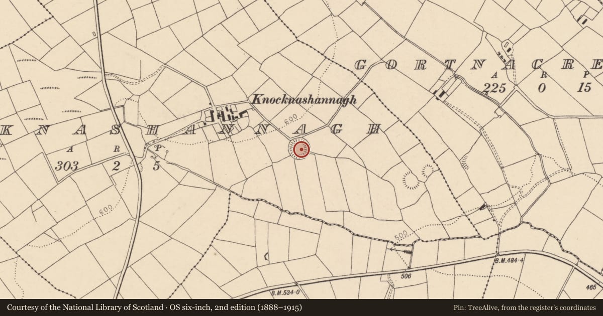 Ordnance Survey six-inch map, 2nd edition (1888–1915) covering the location of Ringfort - rath, Knocknashannagh, County Cork, with a pin at the register's coordinates