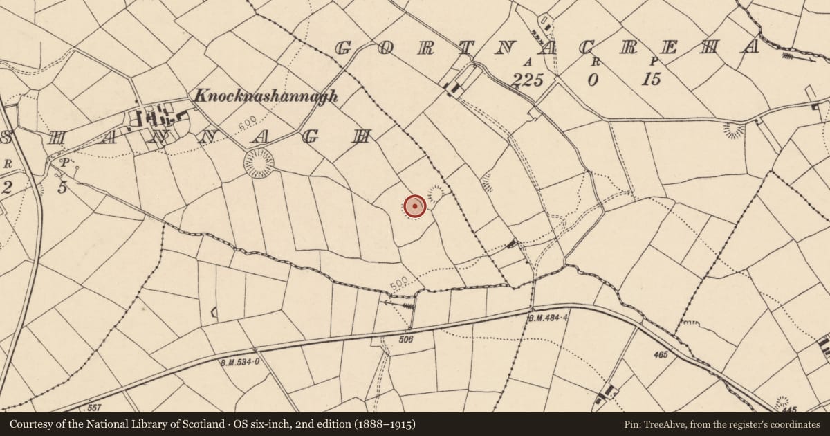 Ordnance Survey six-inch map, 2nd edition (1888–1915) covering the location of Ringfort - rath, Knocknashannagh, County Cork, with a pin at the register's coordinates