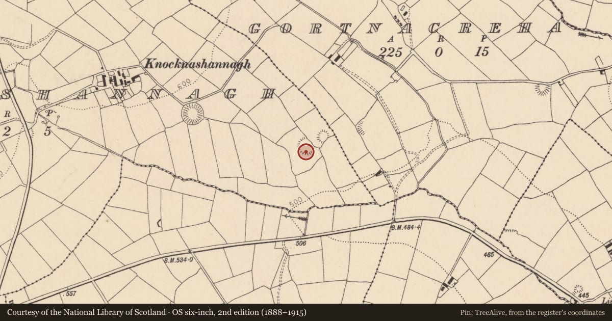 Ordnance Survey six-inch map, 2nd edition (1888–1915) covering the location of Cupmarked stone, Knocknashannagh, County Cork, with a pin at the register's coordinates