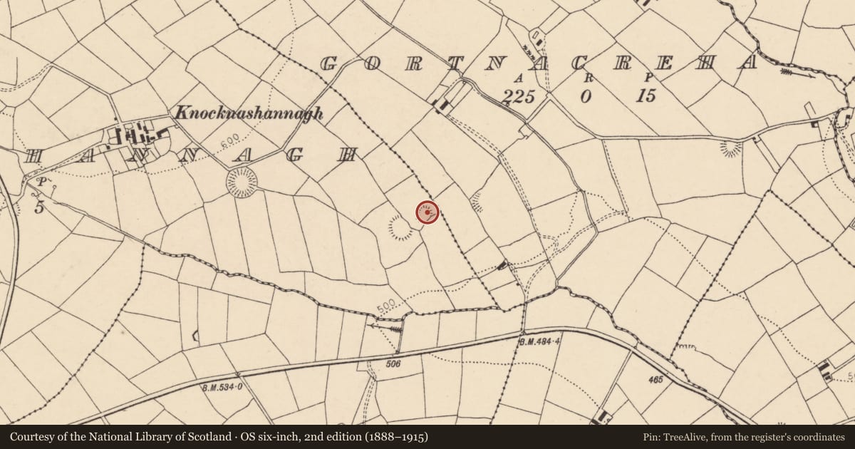 Ordnance Survey six-inch map, 2nd edition (1888–1915) covering the location of Ringfort - rath, Knocknashannagh, County Cork, with a pin at the register's coordinates
