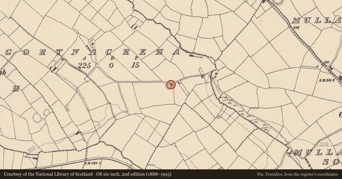 Ordnance Survey six-inch map, 2nd edition (1888–1915) covering the location of Souterrain, Gortnacreha, County Cork, with a pin at the register's coordinates