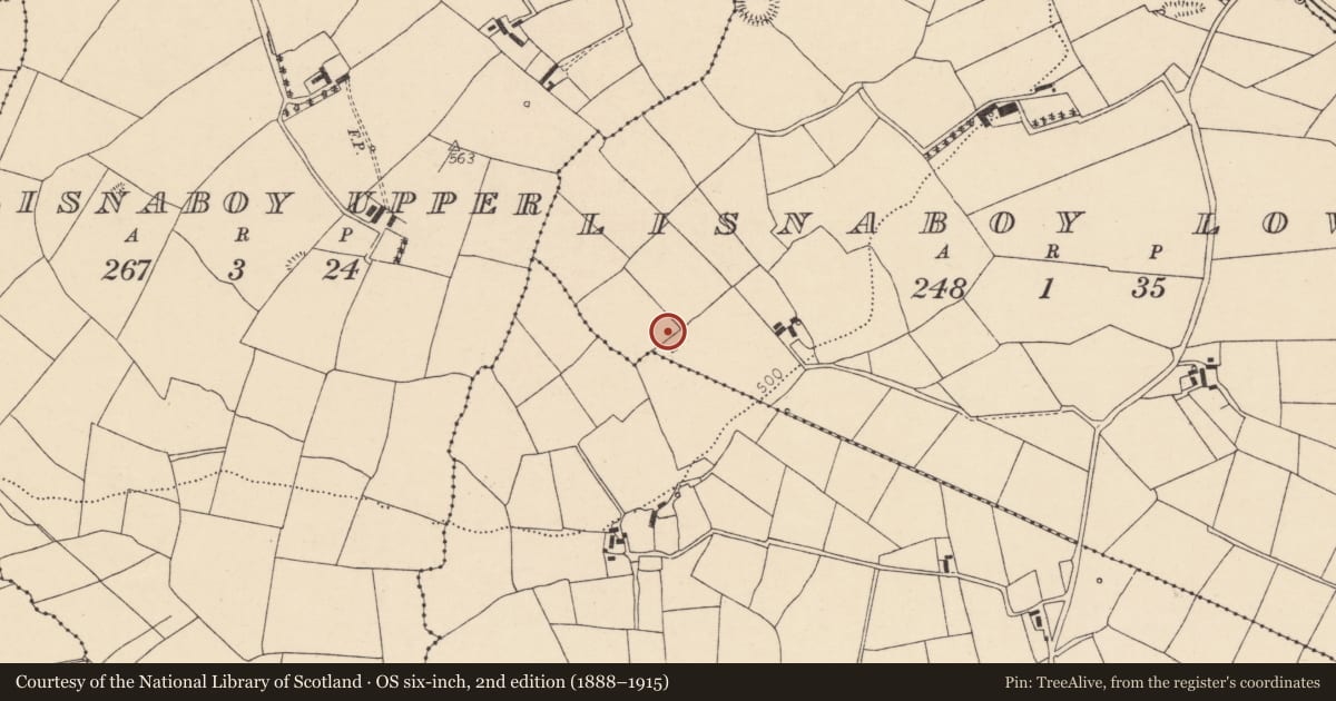 Ordnance Survey six-inch map, 2nd edition (1888–1915) covering the location of Ringfort - rath, Lisnaboy Lower, County Cork, with a pin at the register's coordinates