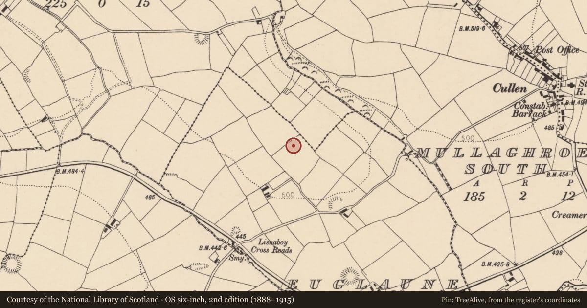 Ordnance Survey six-inch map, 2nd edition (1888–1915) covering the location of Standing stone, Euglaune, County Cork, with a pin at the register's coordinates