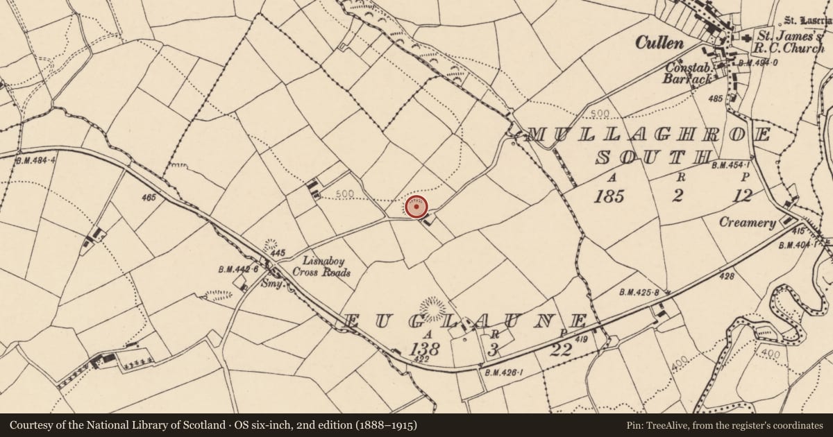 Ordnance Survey six-inch map, 2nd edition (1888–1915) covering the location of Ringfort - rath, Euglaune, County Cork, with a pin at the register's coordinates
