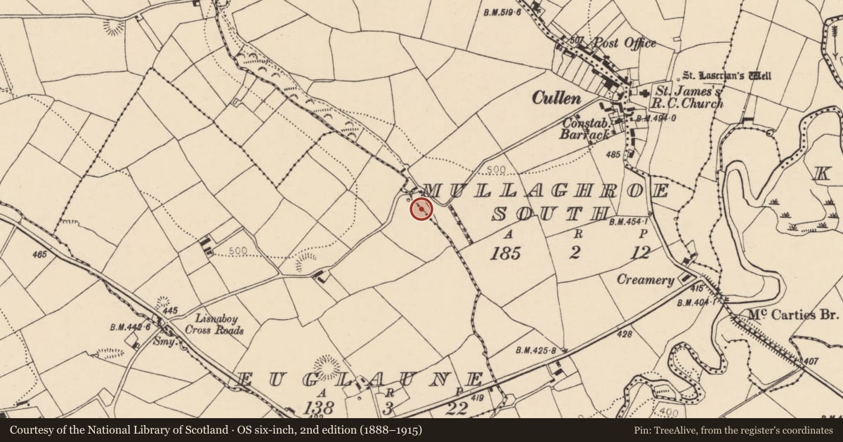 Ordnance Survey six-inch map, 2nd edition (1888–1915) covering the location of Fulacht fia, Euglaune, County Cork, with a pin at the register's coordinates