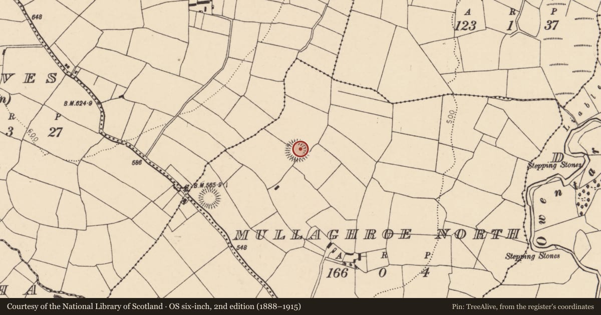 Ordnance Survey six-inch map, 2nd edition (1888–1915) covering the location of Ringfort - rath, Mullaghroe North, County Cork, with a pin at the register's coordinates