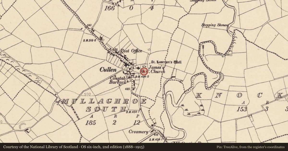 Ordnance Survey six-inch map, 2nd edition (1888–1915) covering the location of Ritual site - holy/saint's stone, Mullaghroe North, County Cork, with a pin at the register's coordinates